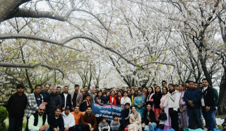 अनेसास जापानले साकुराको रुखलाई प्रमुख अतिथि मानेर साकुराको फेदमा सम्पन्न गर्‍यो ८२औँ साहित्यिक श्रृंखला