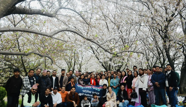 अनेसास जापानले साकुराको रुखलाई प्रमुख अतिथि मानेर साकुराको फेदमा सम्पन्न गर्‍यो ८२औँ साहित्यिक श्रृंखला